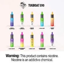 EVO 4500 Puffs 12ml Atomizer Original Pod E-Cigarette